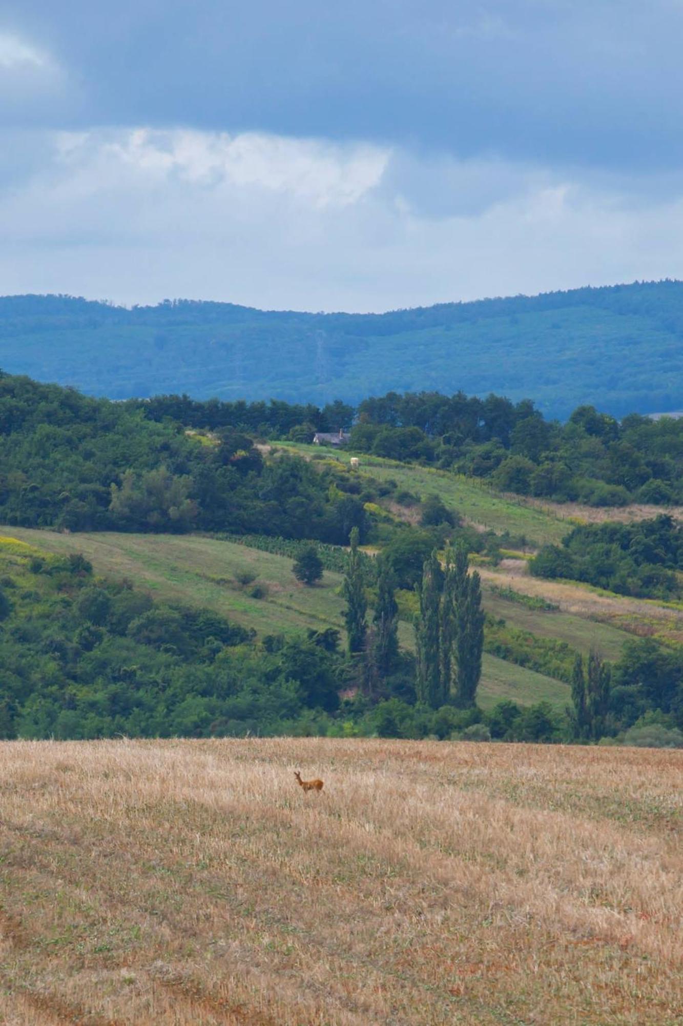 Nyugalomsziget Nyaralohaz Villa Zalaszentlászló Buitenkant foto