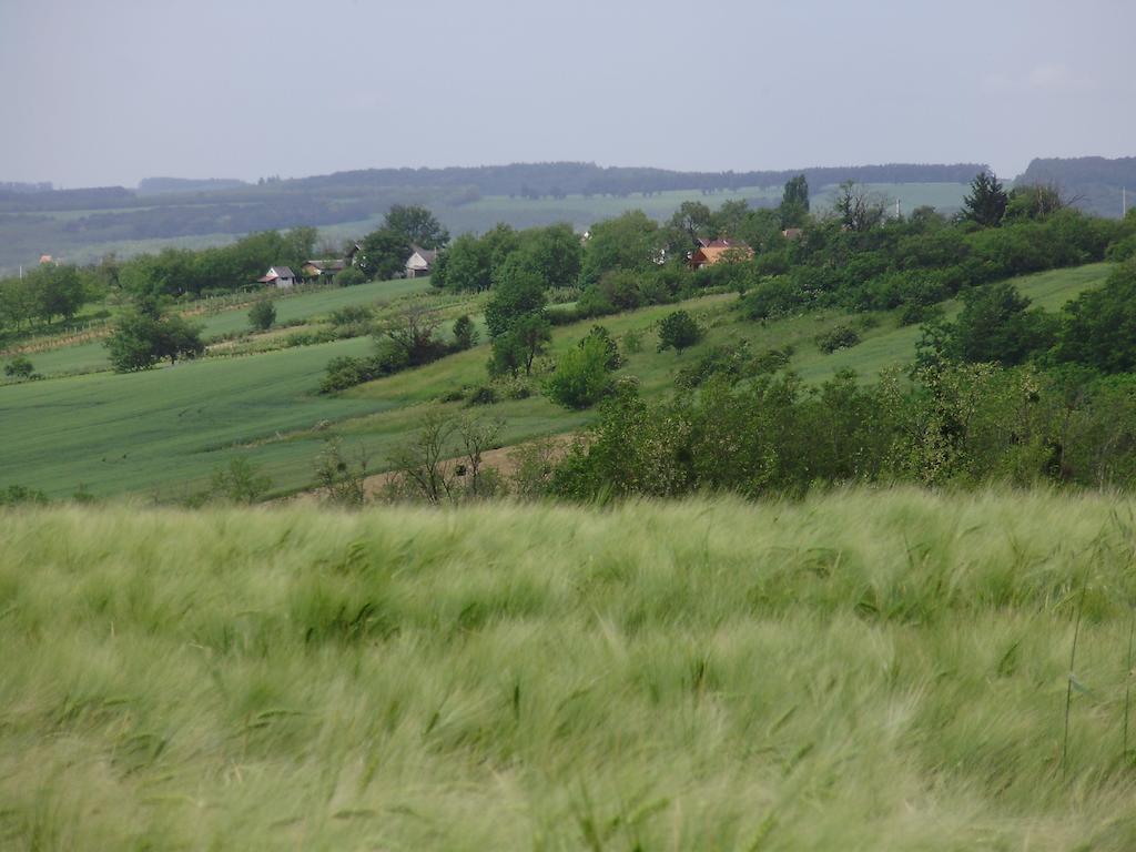 Nyugalomsziget Nyaralohaz Villa Zalaszentlászló Buitenkant foto