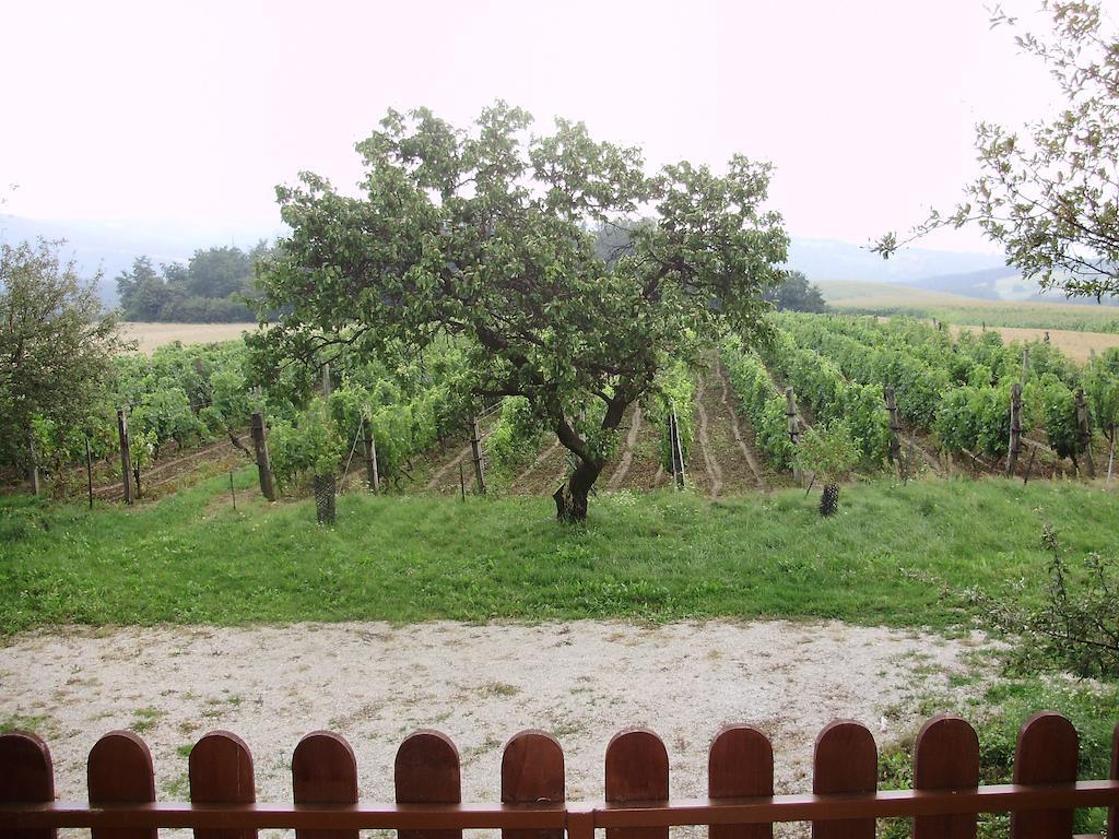 Nyugalomsziget Nyaralohaz Villa Zalaszentlászló Buitenkant foto